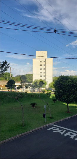Foto REO1076886