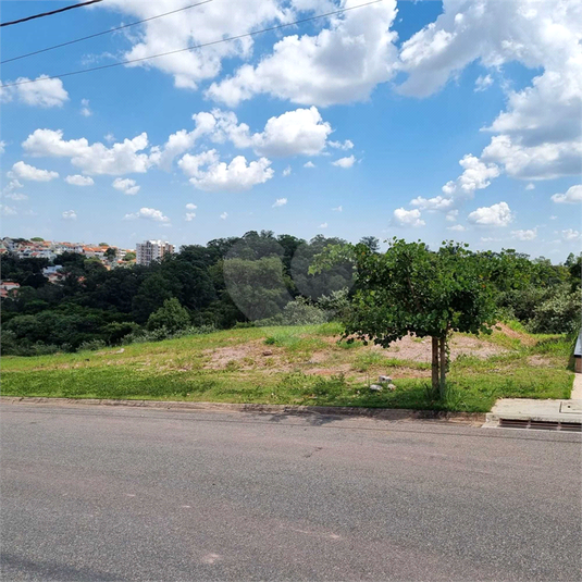 Foto REO1076907