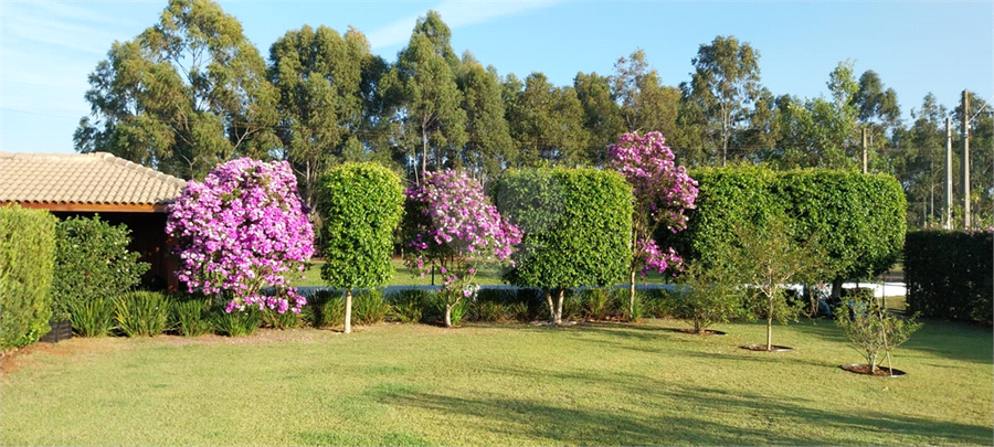 Foto REO1076919
