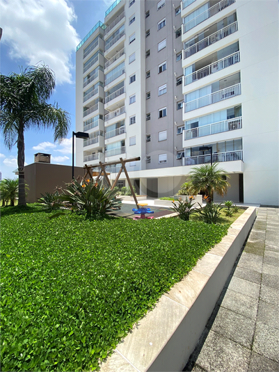 Foto REO1076922