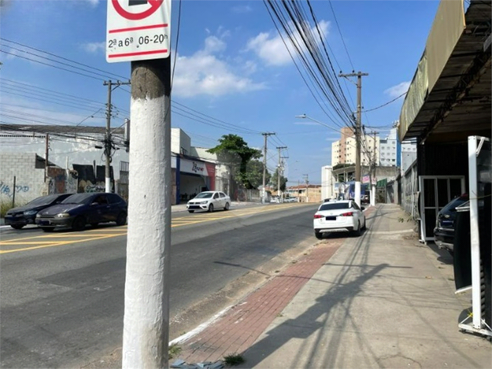 Foto REO1076927