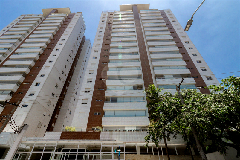 Foto REO1076948
