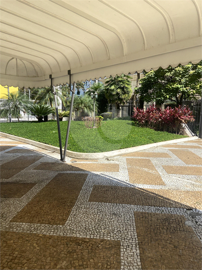 Foto REO1076952
