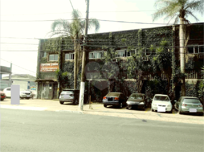 Foto REO1076974