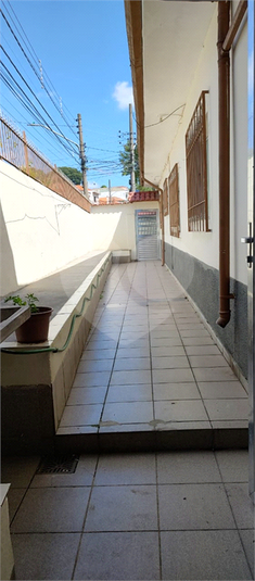 Foto REO1076976
