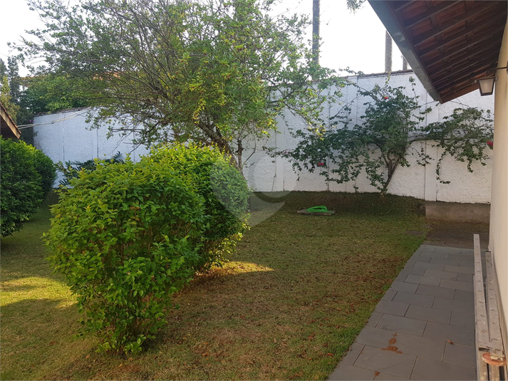 Foto REO1076988