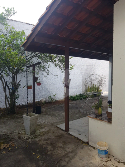 Foto REO1076988