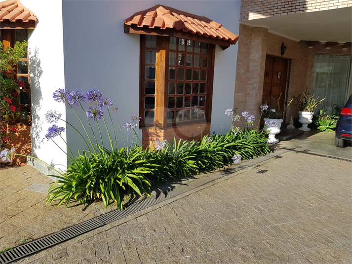 Foto REO1076988