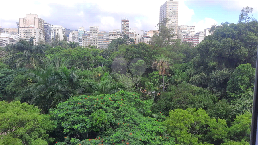 Foto REO1076993