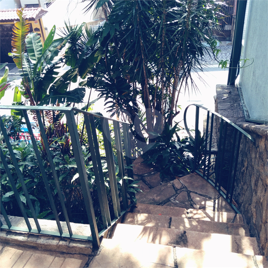 Foto REO1077002