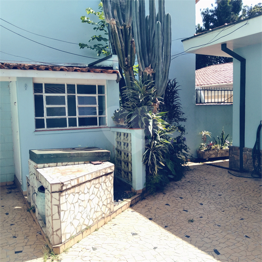 Foto REO1077002