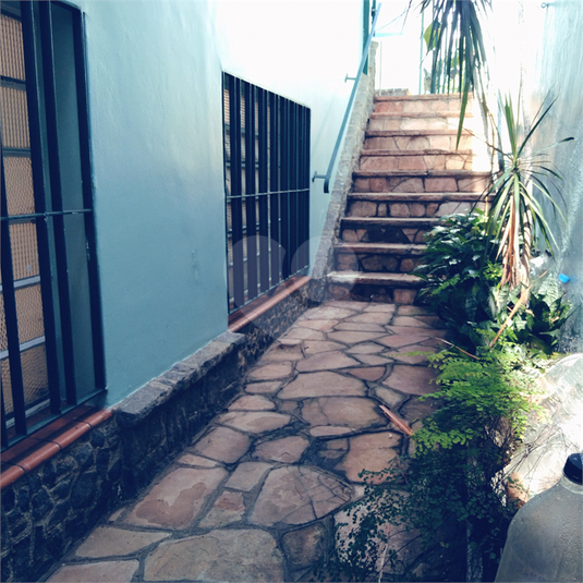 Foto REO1077002