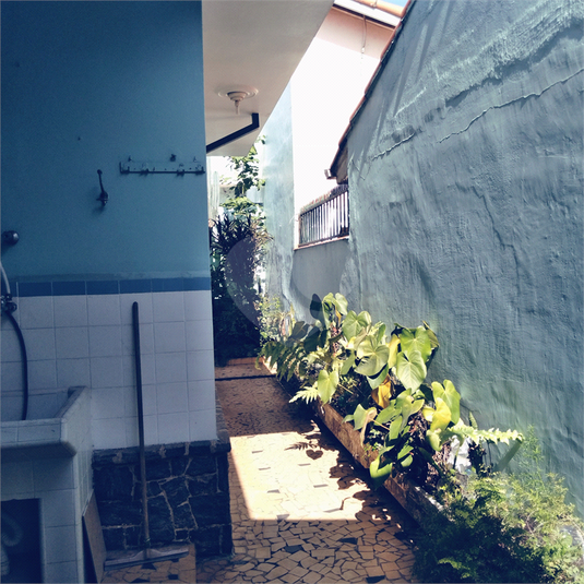 Foto REO1077002
