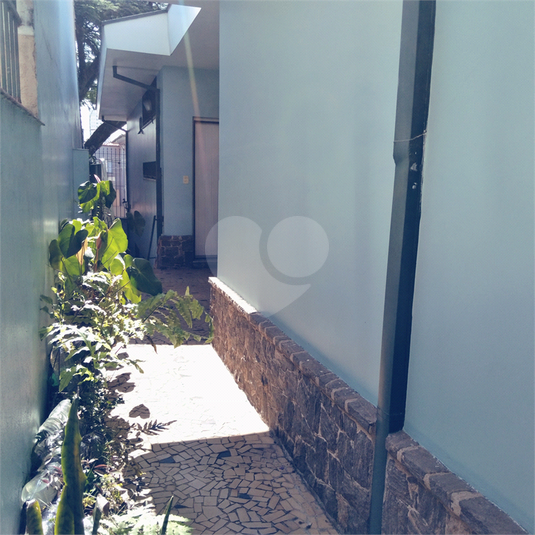 Foto REO1077002