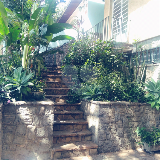 Foto REO1077002
