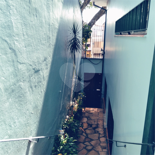 Foto REO1077002