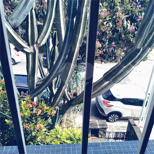 Foto REO1077006
