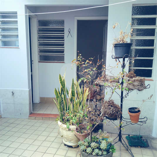Foto REO1077006