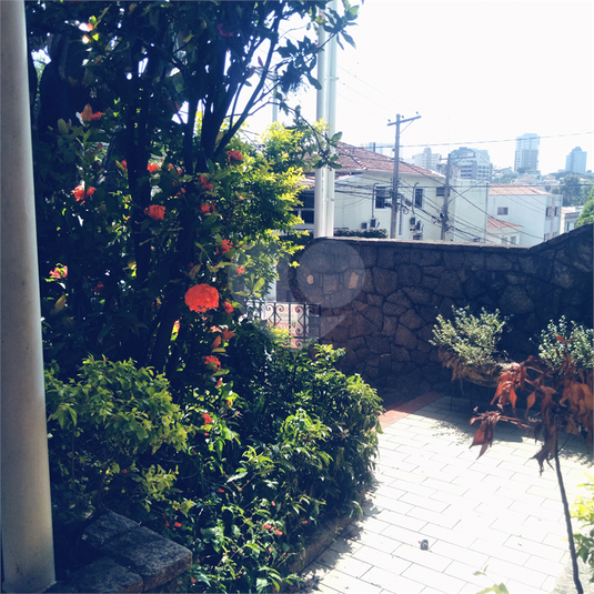 Foto REO1077006