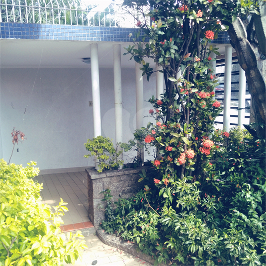 Foto REO1077006