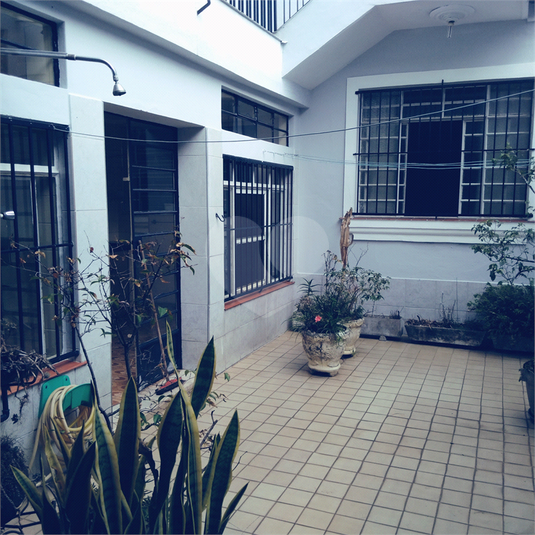 Foto REO1077006