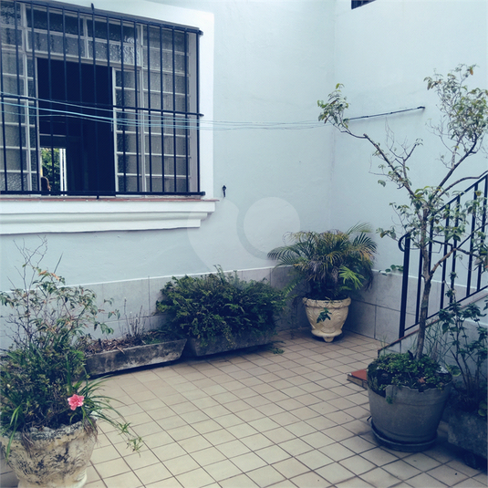 Foto REO1077006