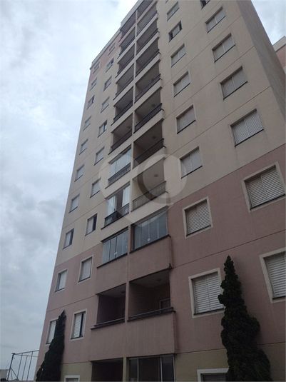 Foto REO1077018