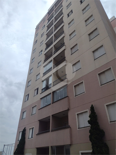 Foto REO1077018