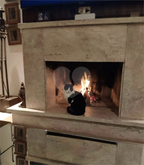 Foto REO1077026