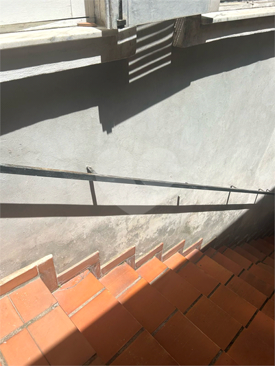 Foto REO1077069