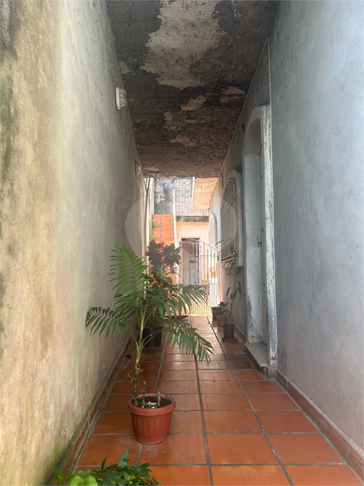 Foto REO1077069