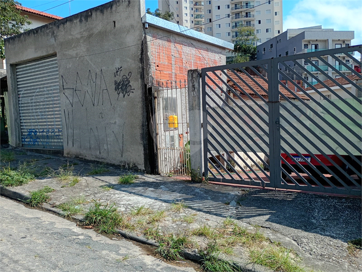 Foto REO1077075