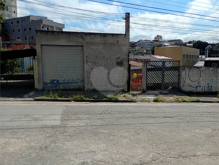 Foto REO1077075