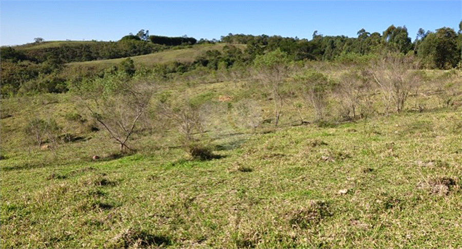 Foto REO1077089