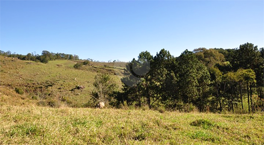 Foto REO1077089