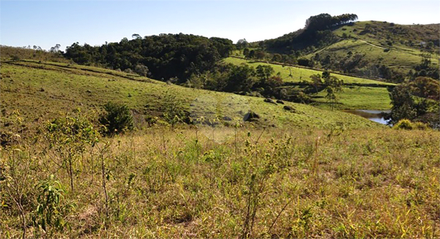 Foto REO1077089