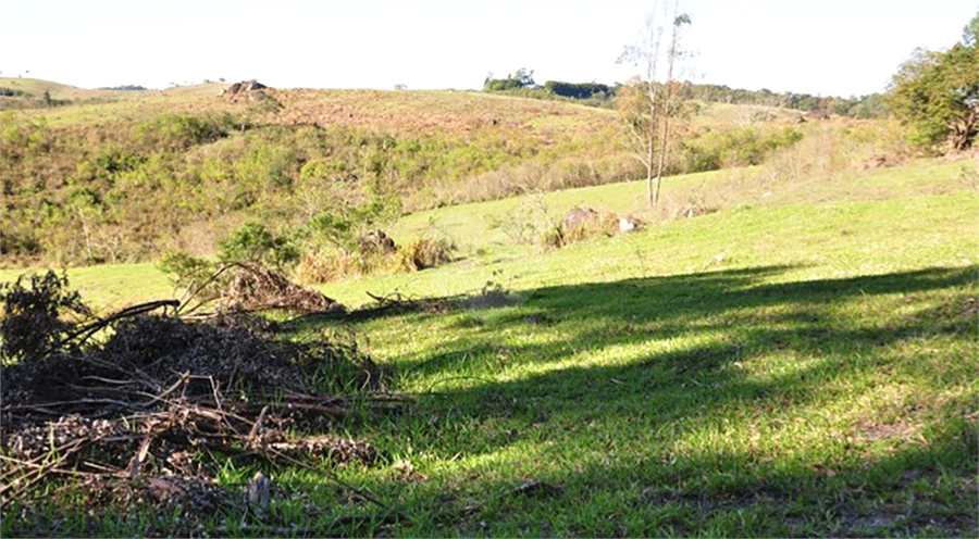 Foto REO1077089