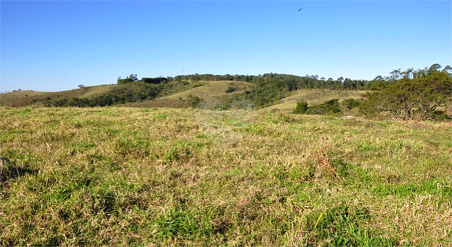 Foto REO1077089