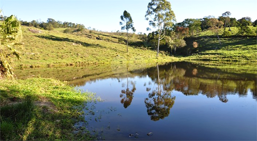Foto REO1077089