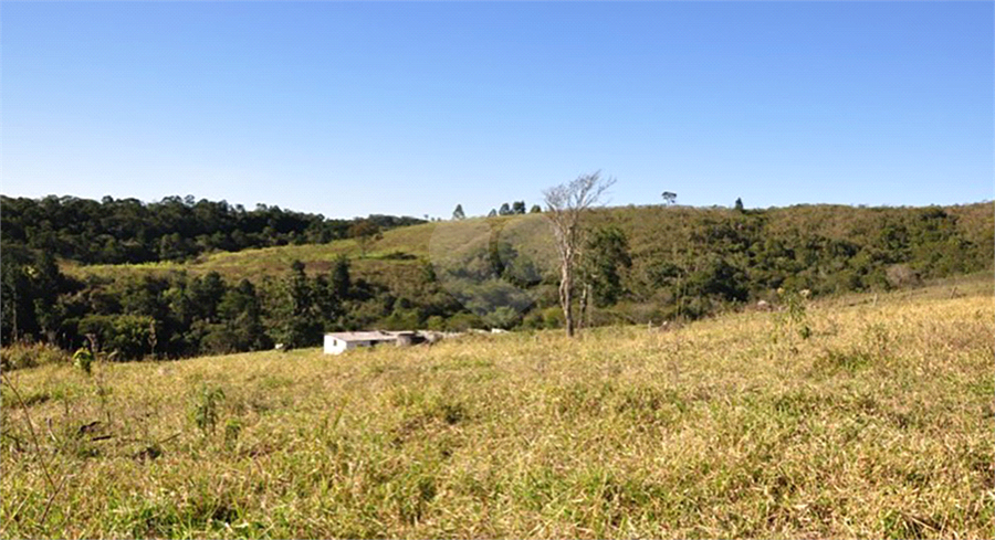 Foto REO1077089