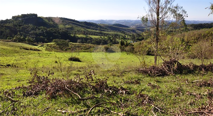 Foto REO1077089