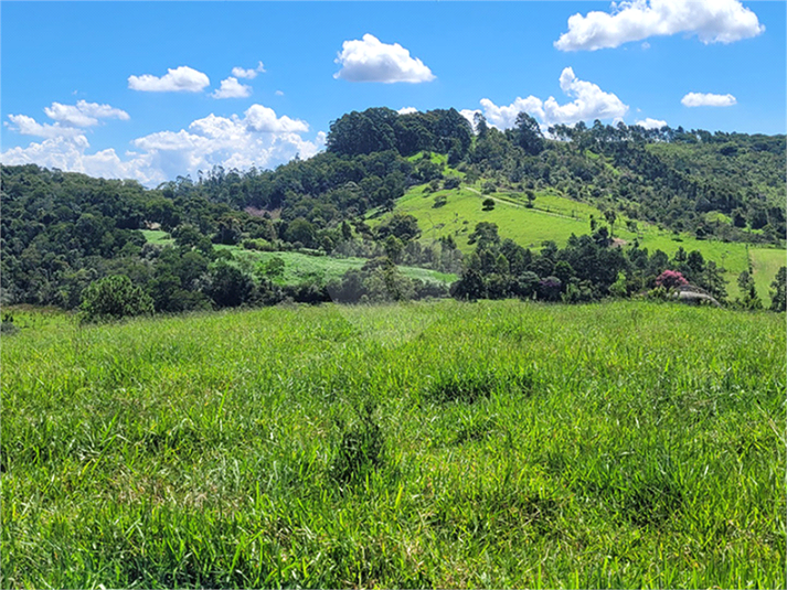 Foto REO1077089