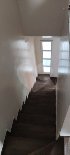 Foto REO1077117