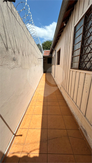 Foto REO1077134