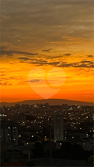 Foto REO1077142
