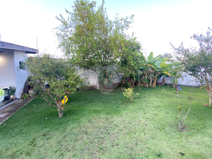 Foto REO1077158