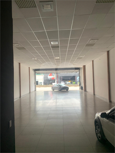 Foto REO1077165