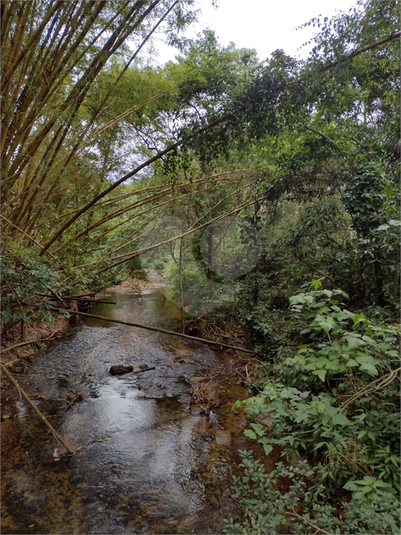 Foto REO1077168