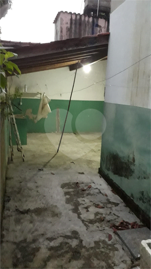 Foto REO1077168