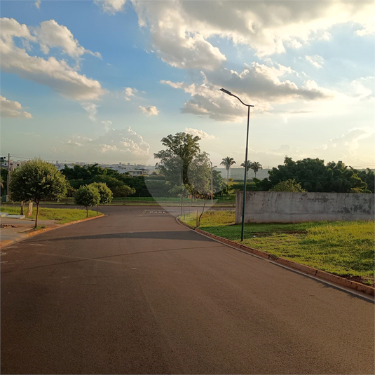Foto REO1077170